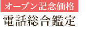 オープン記念価格電話総合鑑定