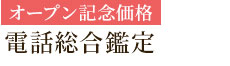 オープン記念価格電話総合鑑定